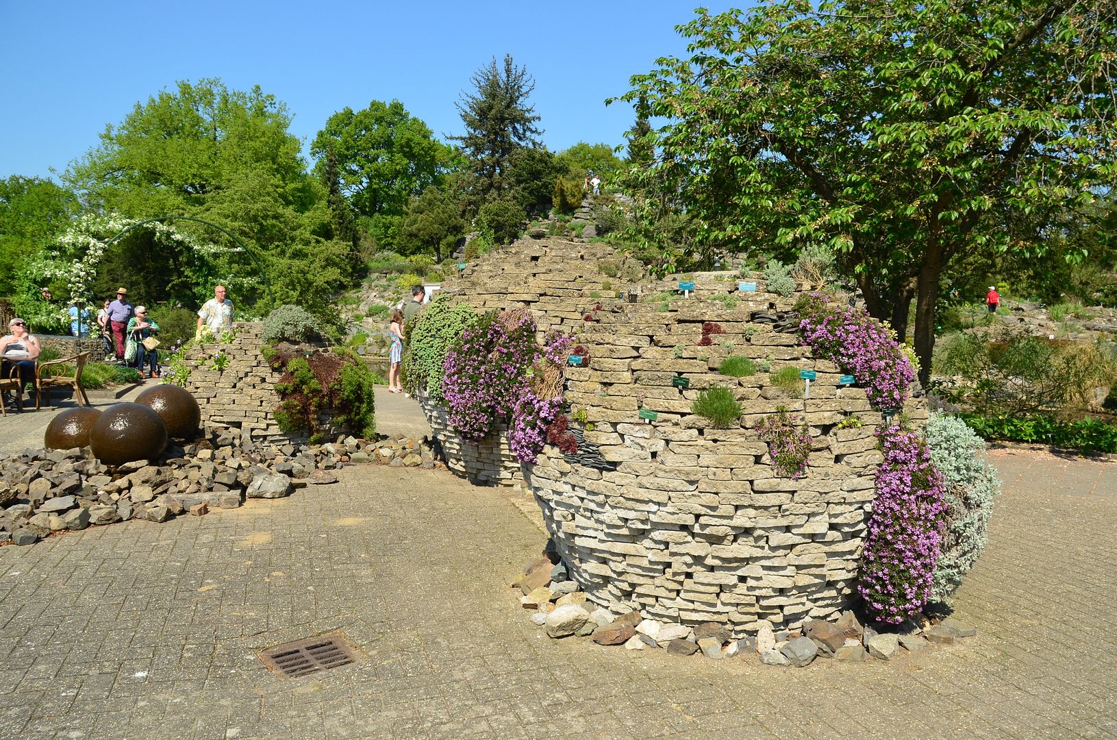 photo DSC_0384.jpg